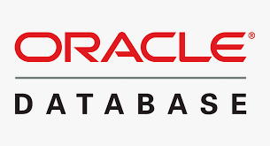 BeeFlix is compatible with oracle databases